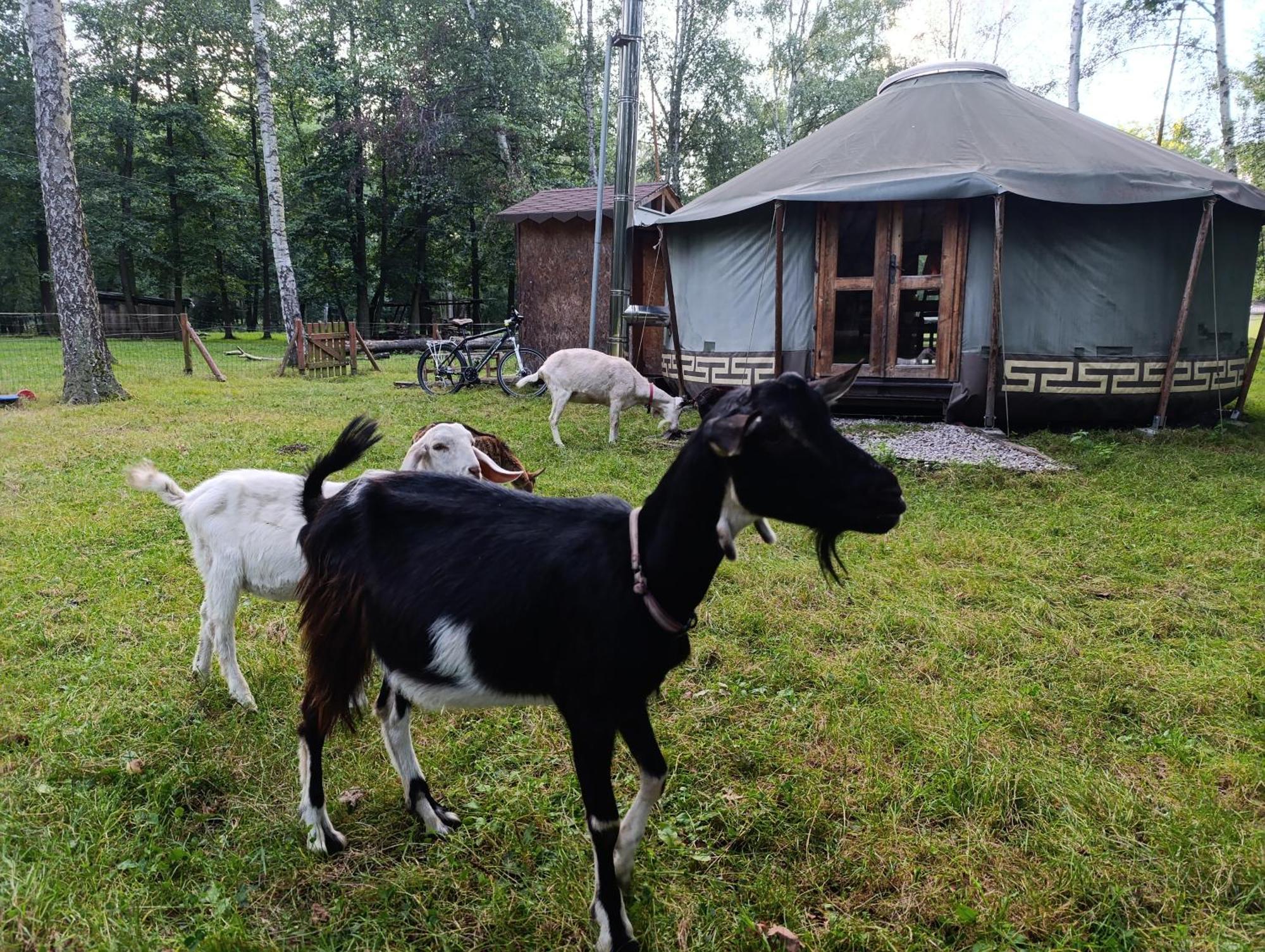 Jurta Na Farme Glamping *