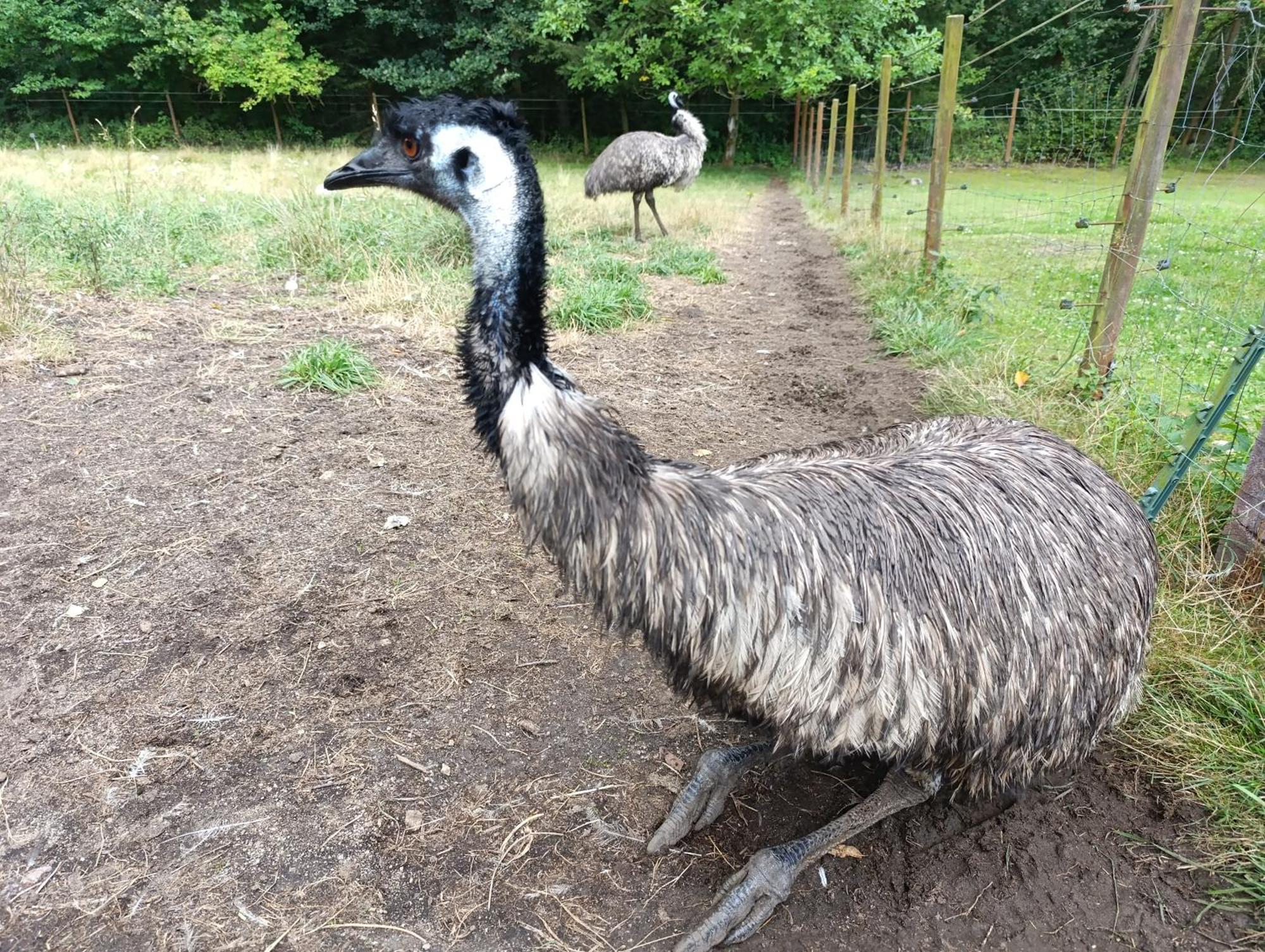 Jurta Na Farme Karlovy Vary