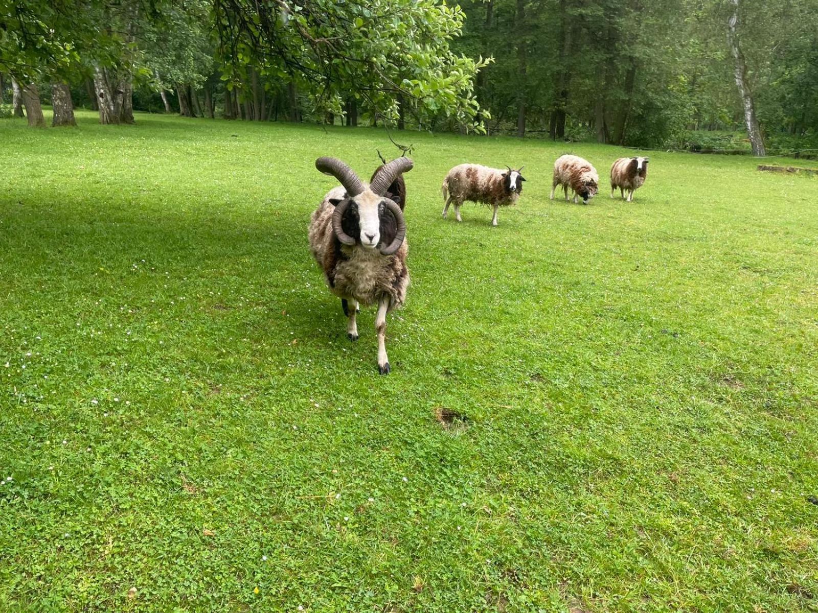 Jurta Na Farme * Karlovy Vary