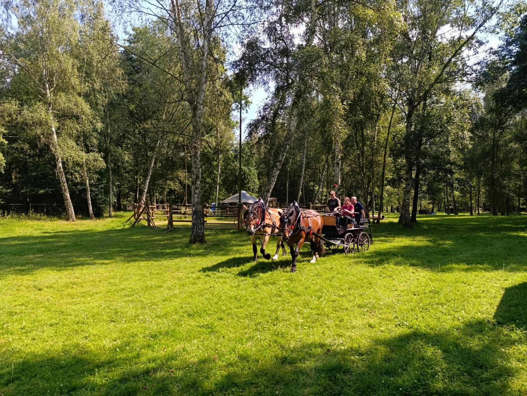 Jurta Na Farme * Karlovy Vary
