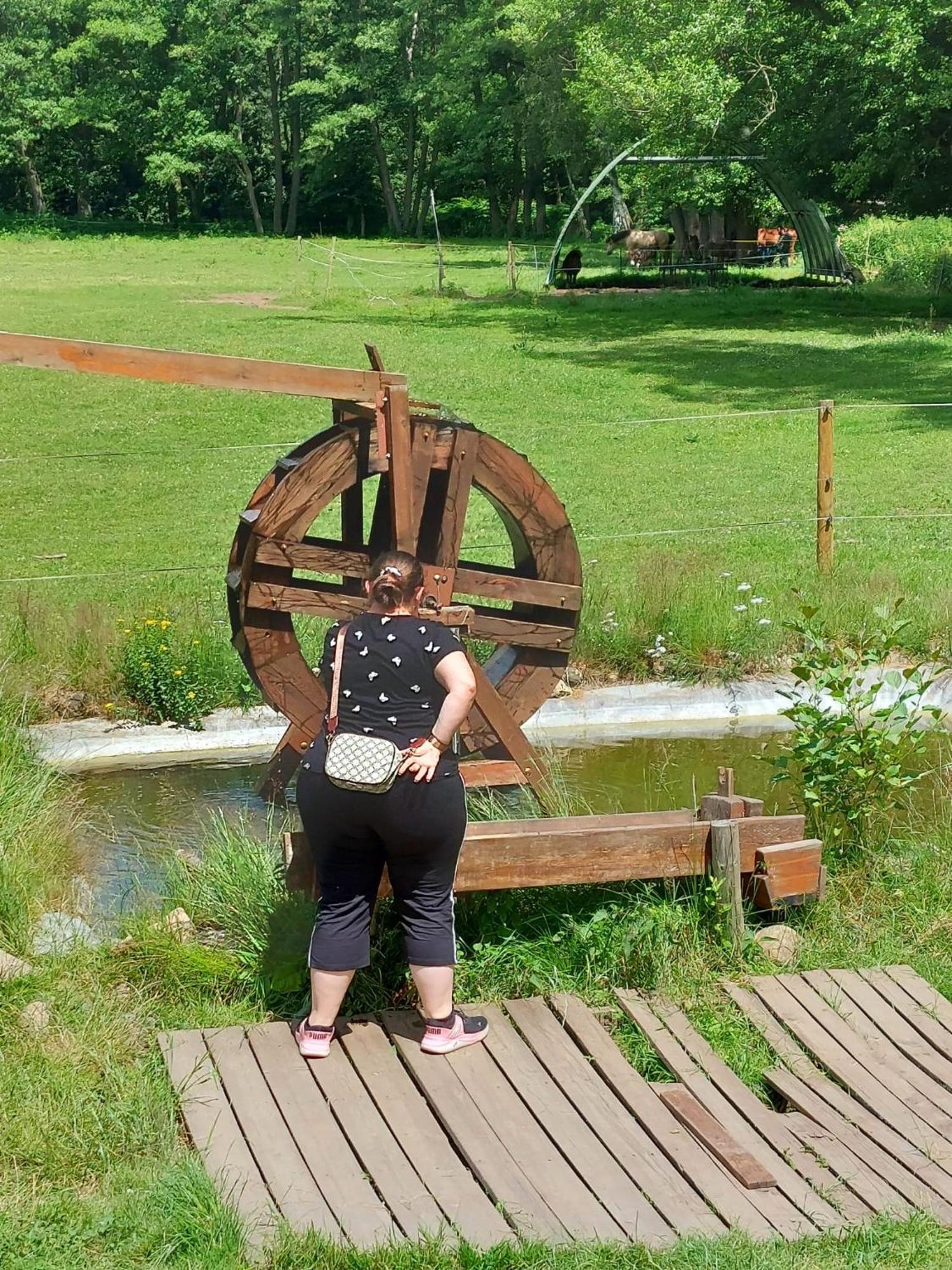 Jurta Na Farme