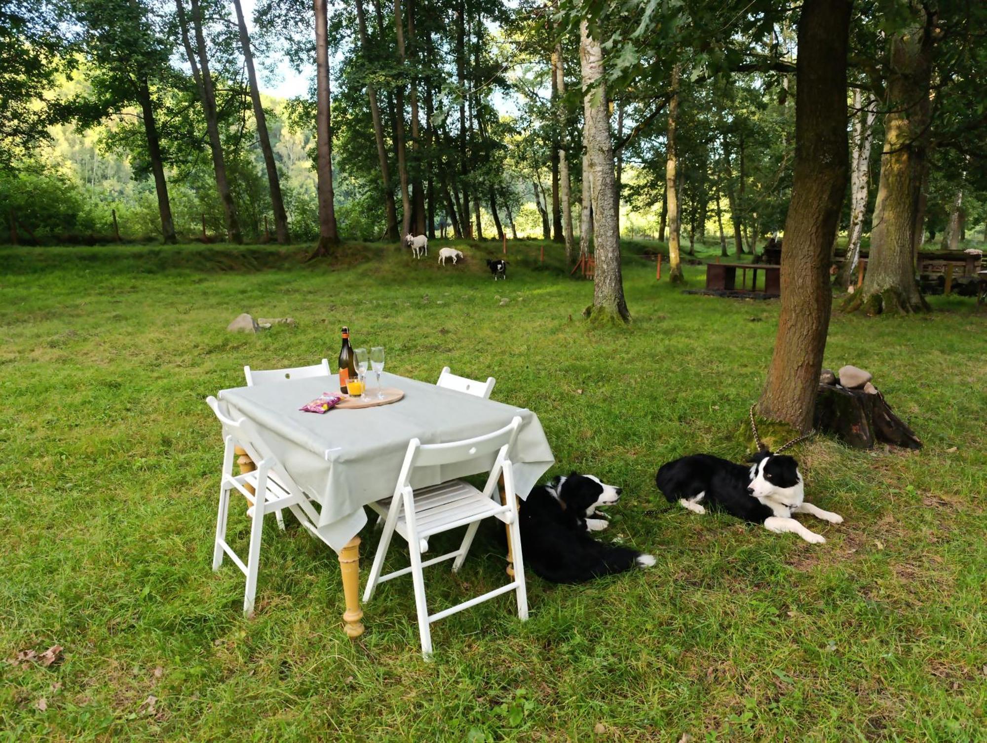 Glamping Jurta Na Farme *